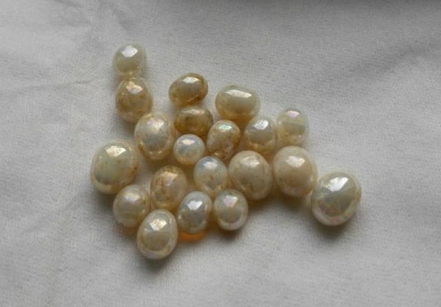 舍利子科学研究,舍利子真实原理