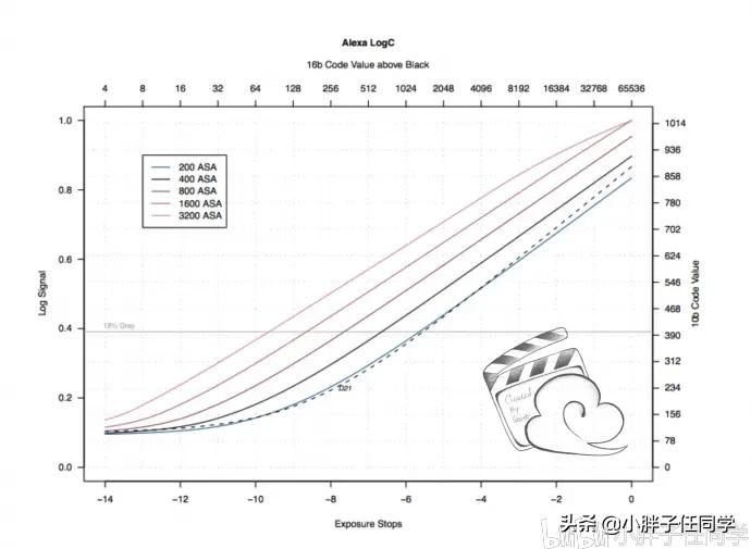 尼康d850拍摄视频用什么镜头,尼康d850配556镜头感受