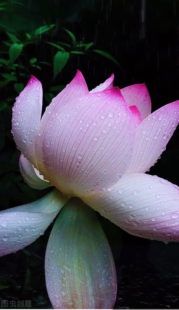 浮云吹作雪世味煮成茶下联的意思,浮云吹作雪世味煮成茶是什么意思