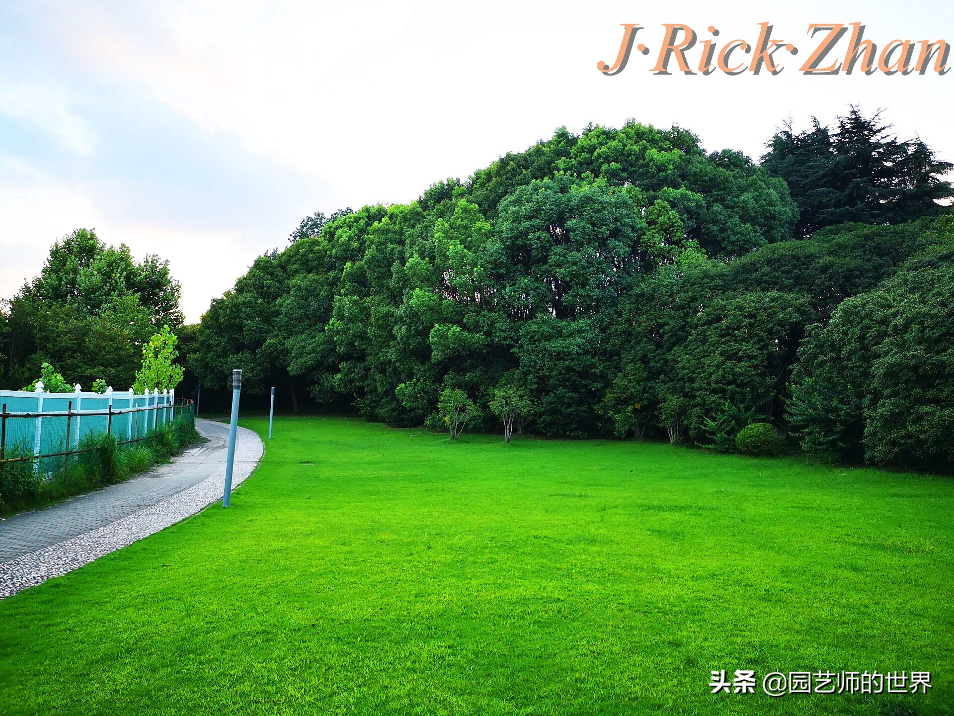 适合北方庭院种植的低矮草坪,家庭庭院怎样混搭种植草坪和蔬菜