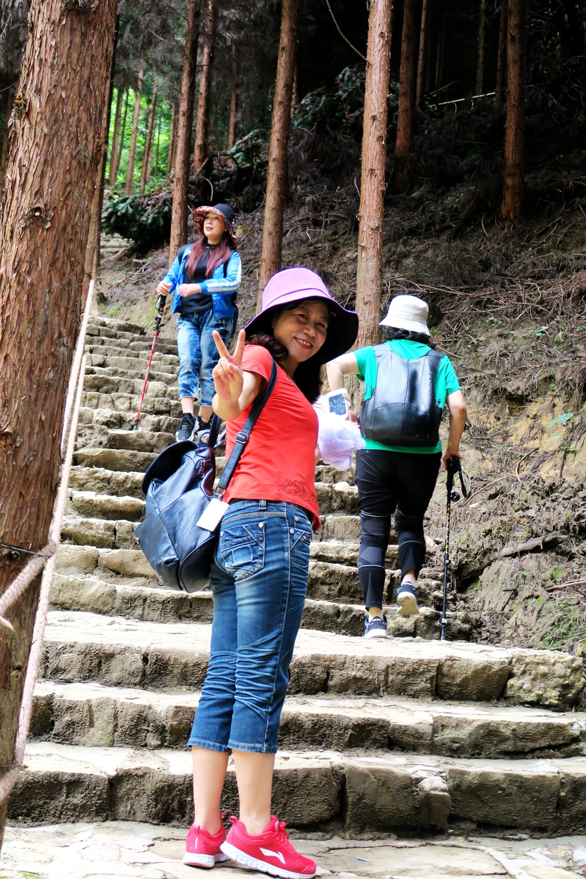 猴山飞瀑,猴山飞瀑旅游区地图