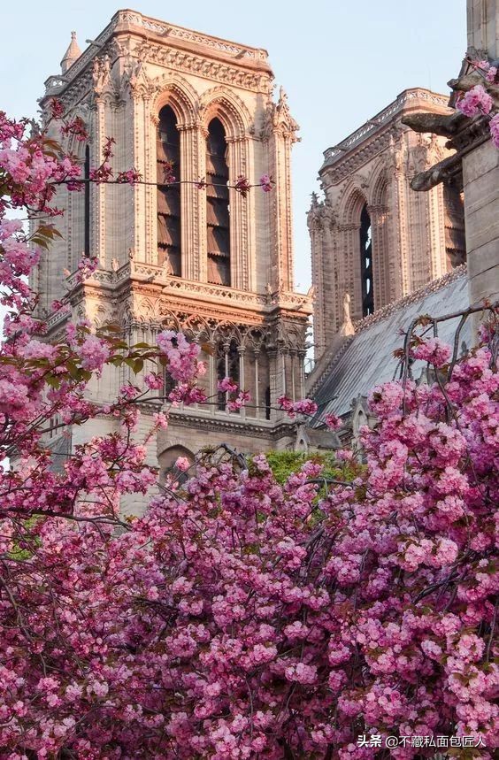 面包机和面的正确方法,面包机和面的正确方法步骤