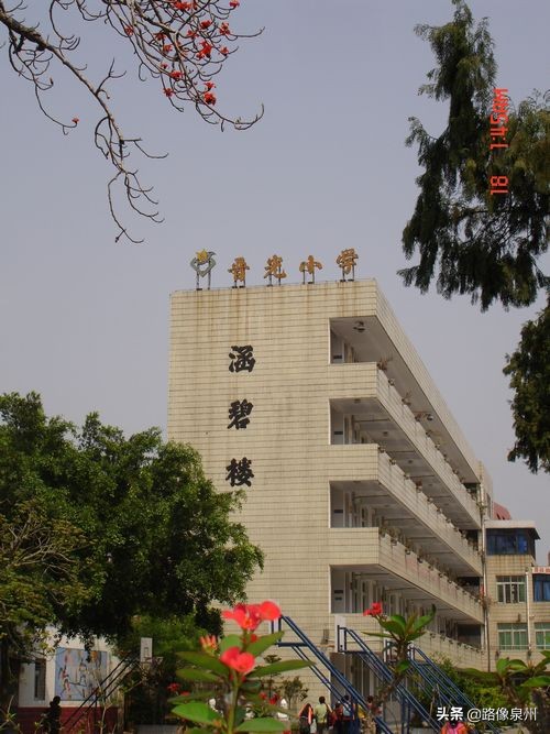 泉州晋光小学的片区,泉州第一梯队晋光小学