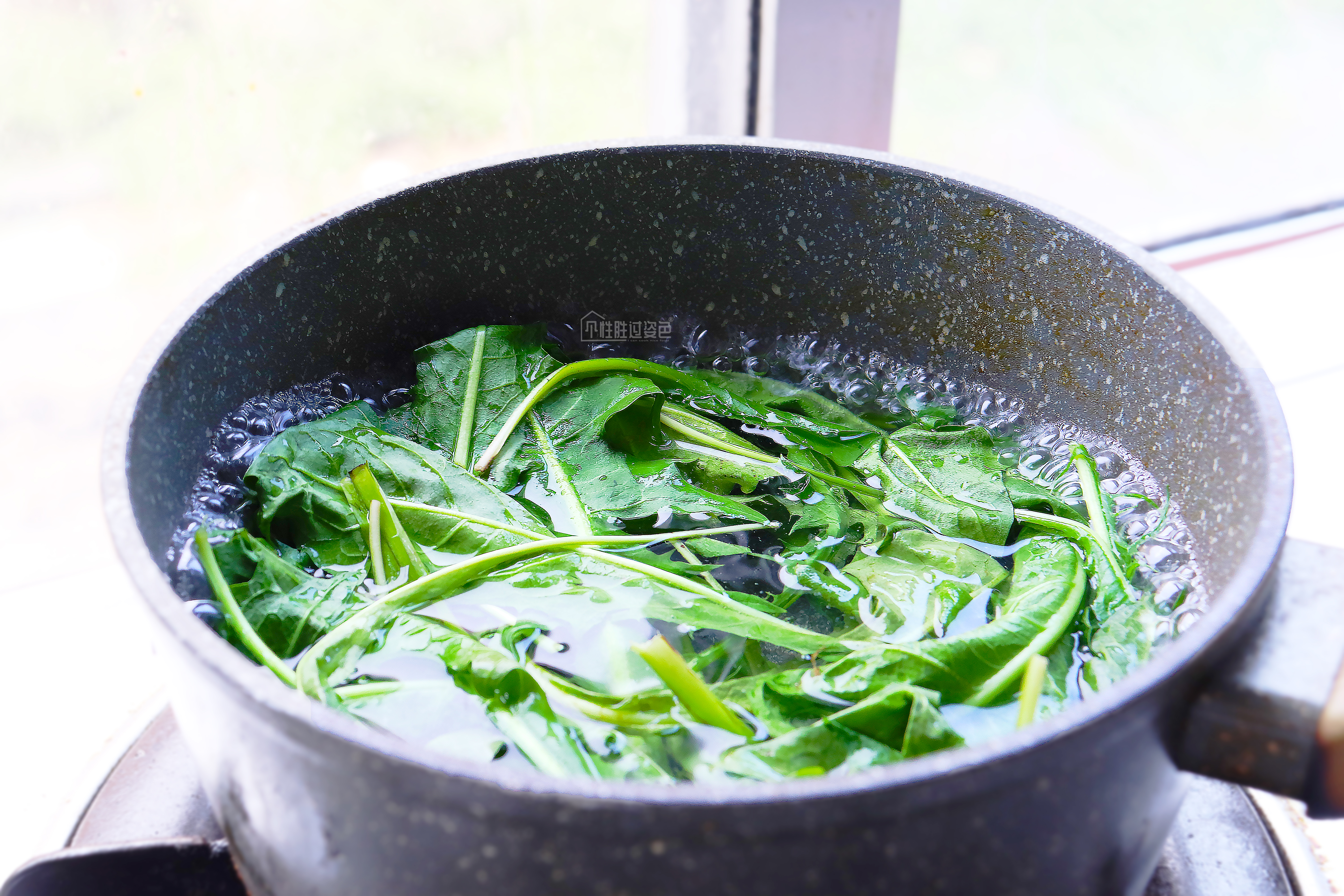 新鲜的蒲公英怎么做来下火,夏天这菜别错过清热消暑