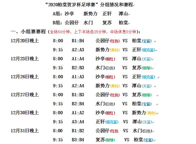 化龙村球赛,番禺区化龙运动会