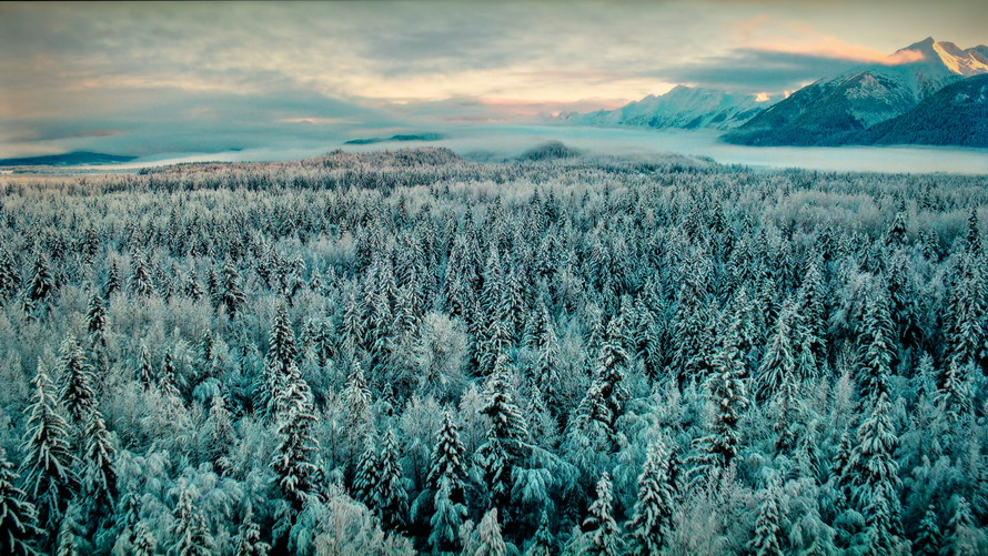 创维酷开p50pro和海信e3f哪个好,创维酷开p5065寸价格