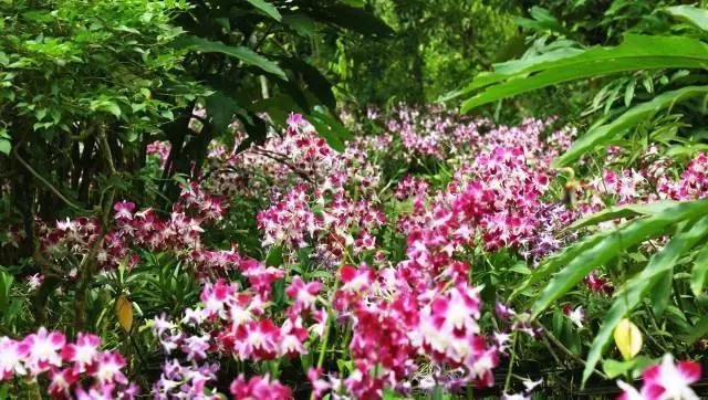 温泉季已到,这个元旦就来一场惬意的海南泡汤+逛吃之旅吧!