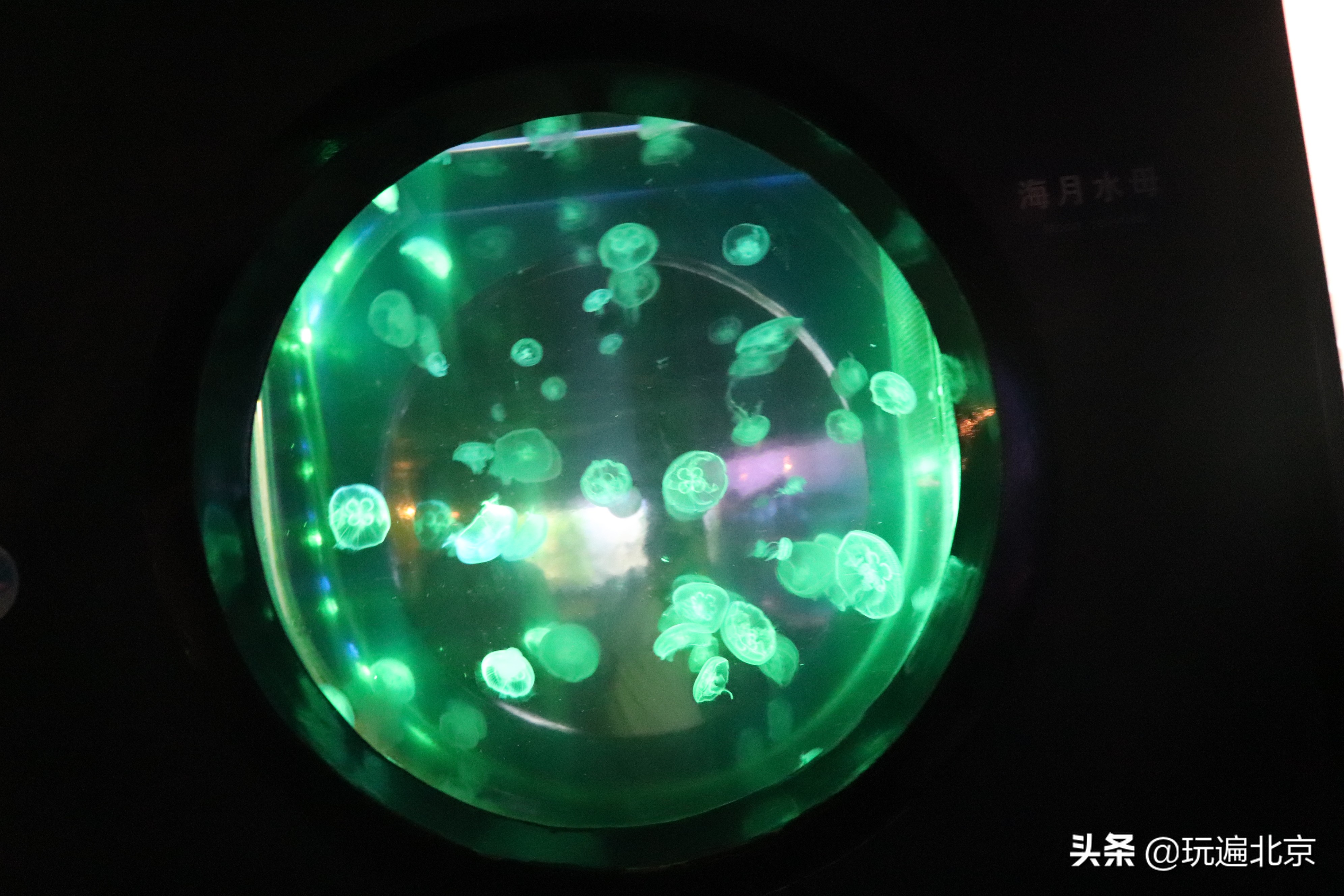 富国海底世界,海底世界的深海奥秘