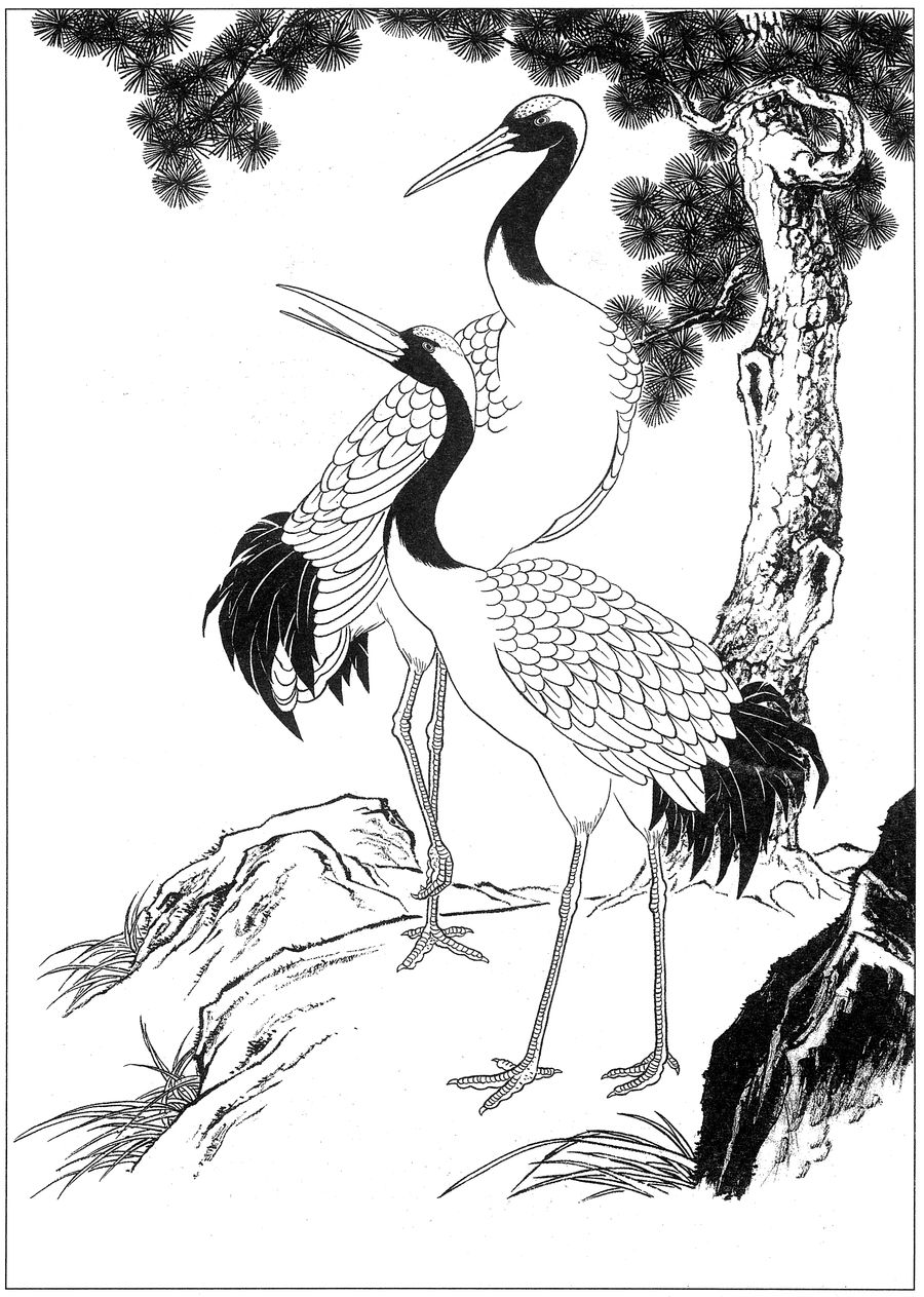 仙鹤桃子工笔白描稿,工笔画仙鹤高清图上色步骤图