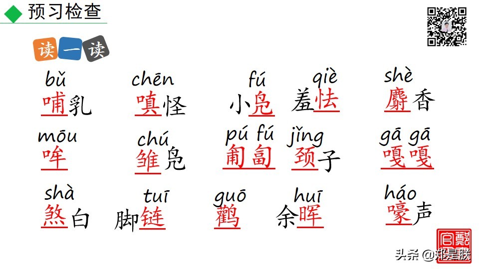 七上人教版第十七课动物笑谈课件,七上语文动物笑谈