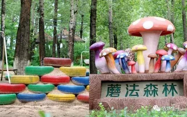 从零开始打造一个优质亲子农庄,从亏损近2亿到盈利35亿的逆袭