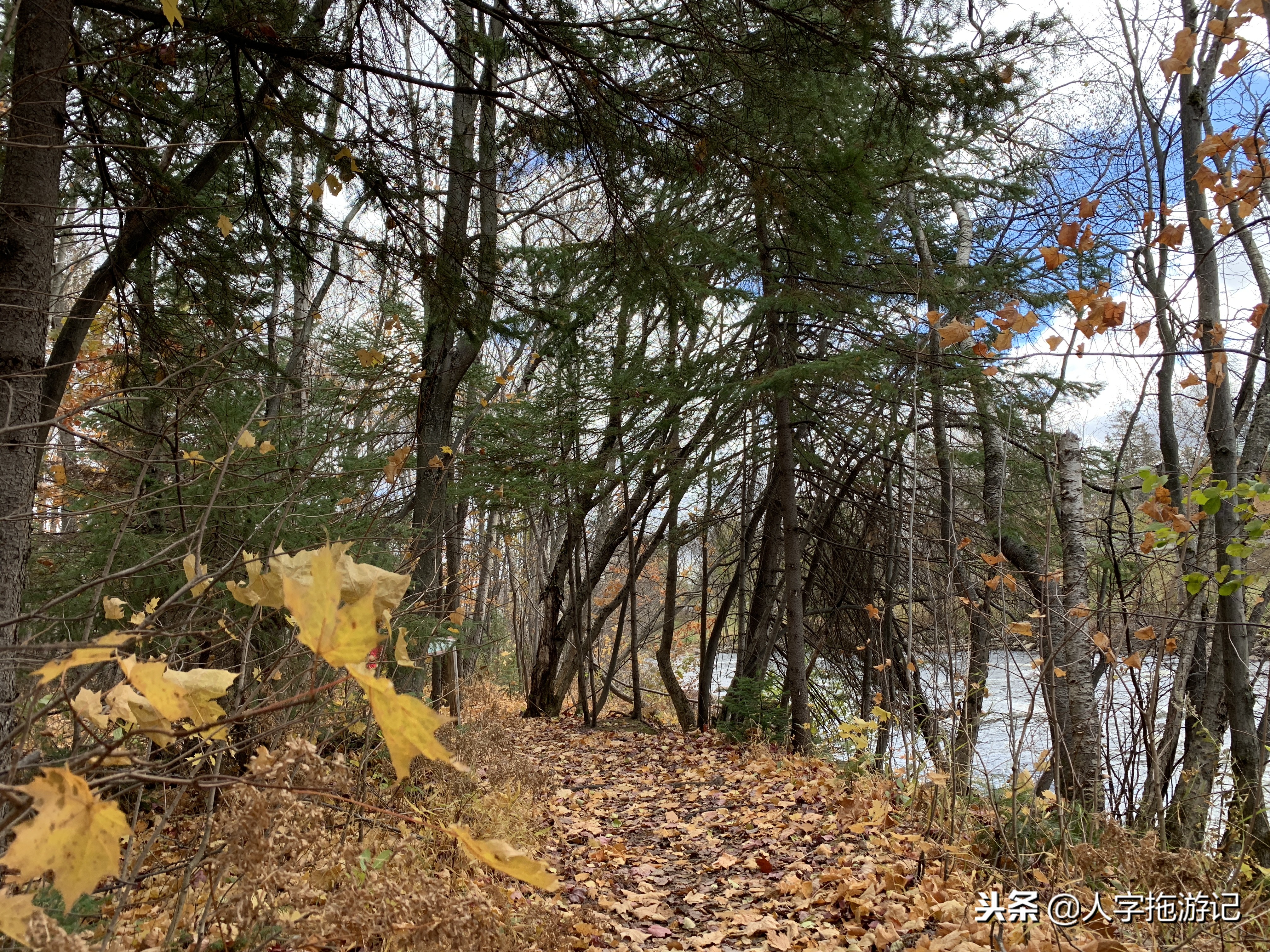 冬日极客，加拿大Wendake穿着狼爪去狼族
