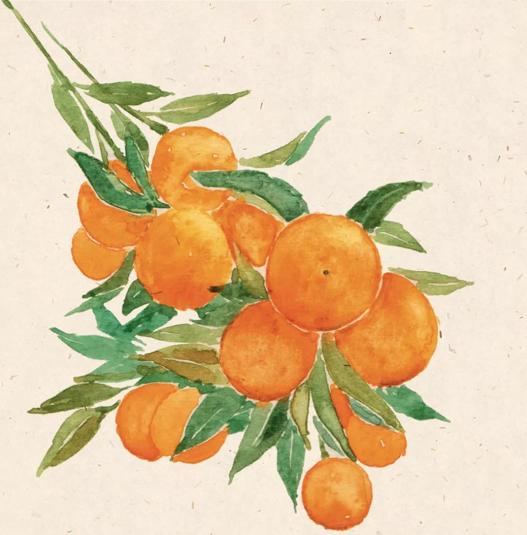 广西地方的螺蛳粉最好吃,广西出名的美食只有螺蛳粉吗