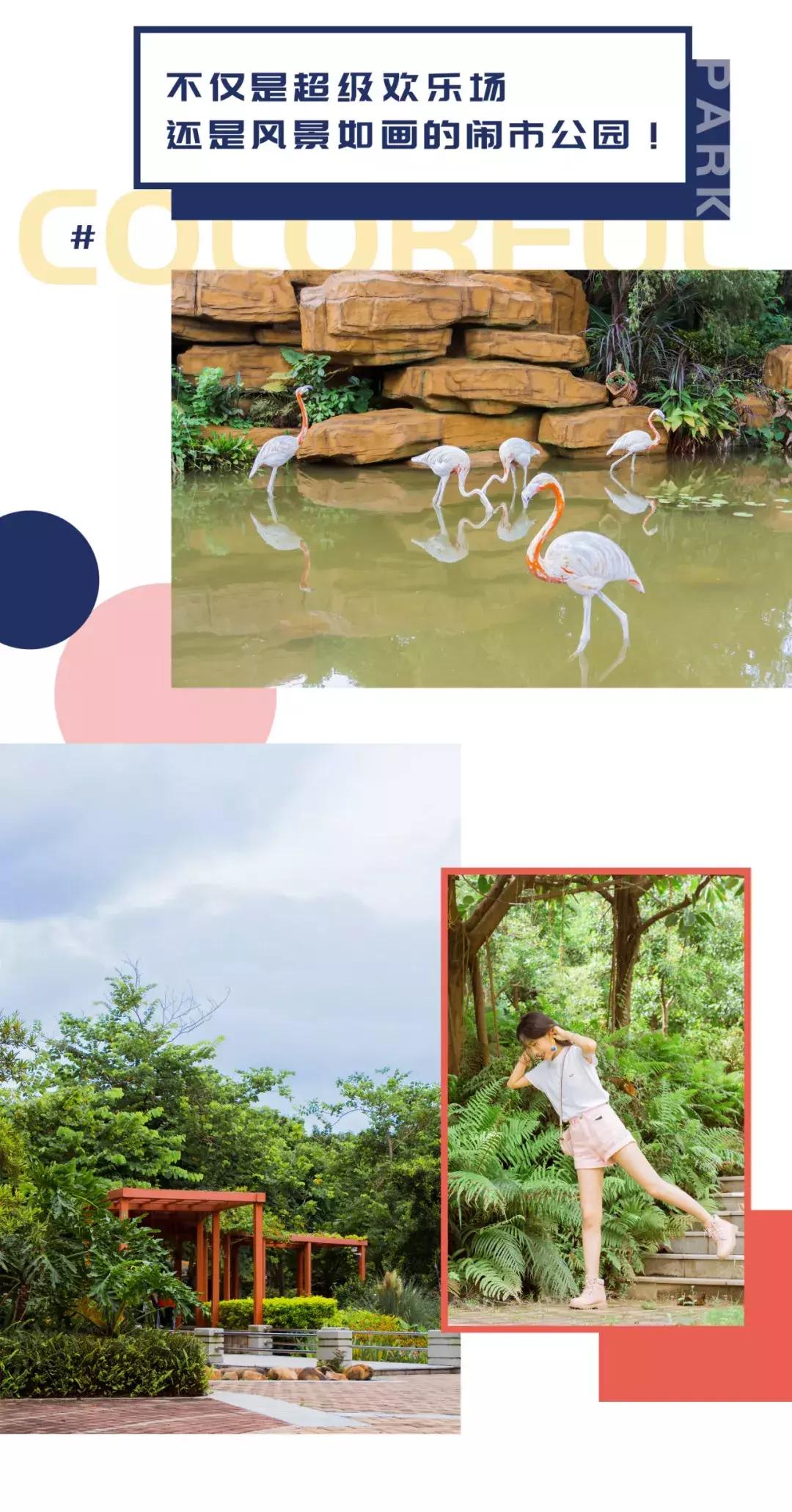 深圳哪里有摩天轮可以坐,深圳哪里有免费摩天轮