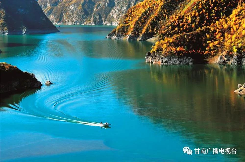 高晓东临潭县委书记,临潭县委书记高晓东