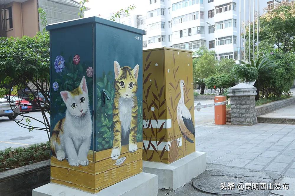 鏄嗘槑cop15鏄ュ煄涔嬬害娴峰焸浼氬爞澶滄櫙,鏄嗘槑cop15鏄ュ煄涔嬬害