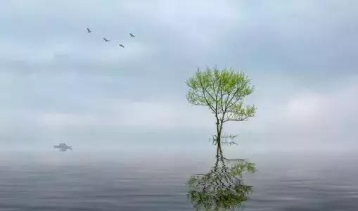 道德经和而不同的感悟,道德经和而不同