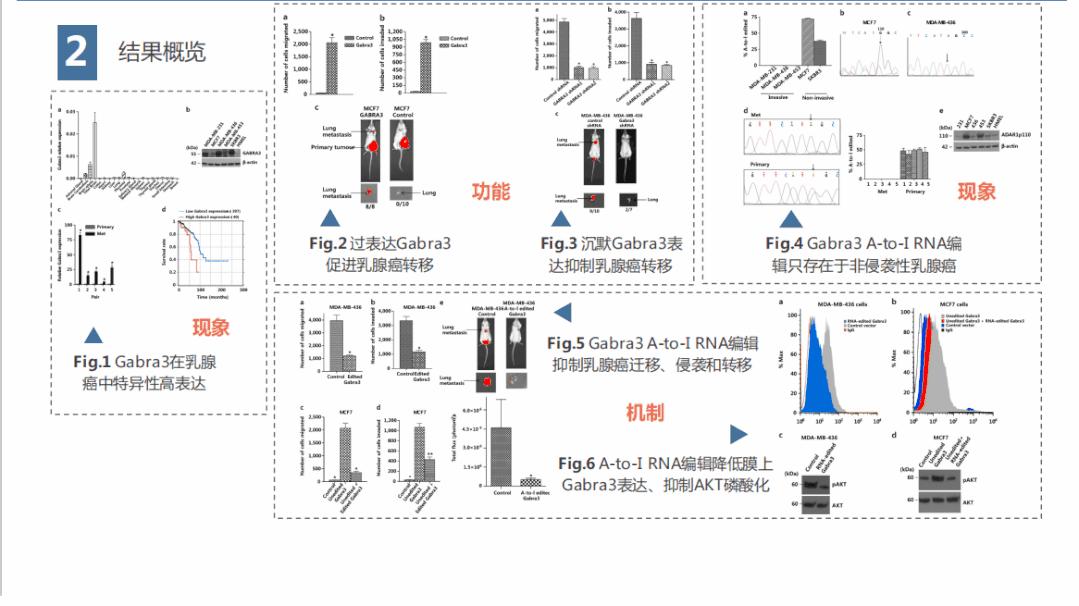 科研必杀技高效阅读和整理文献,如何有效提取文献中的重要信息