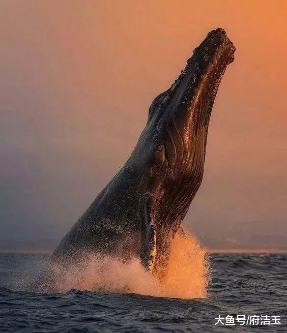 50张世界级照片赶快来看,壮观40张顶级照片