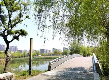 江苏省37所高校,四十六所高校