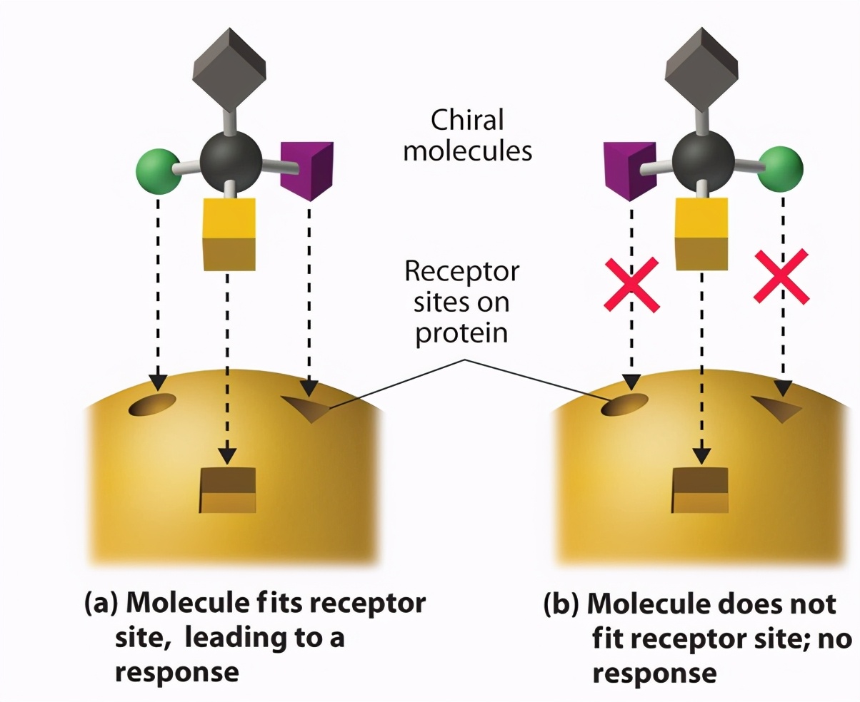 碳元素为什么是最基本元素,生命的核心元素是什么