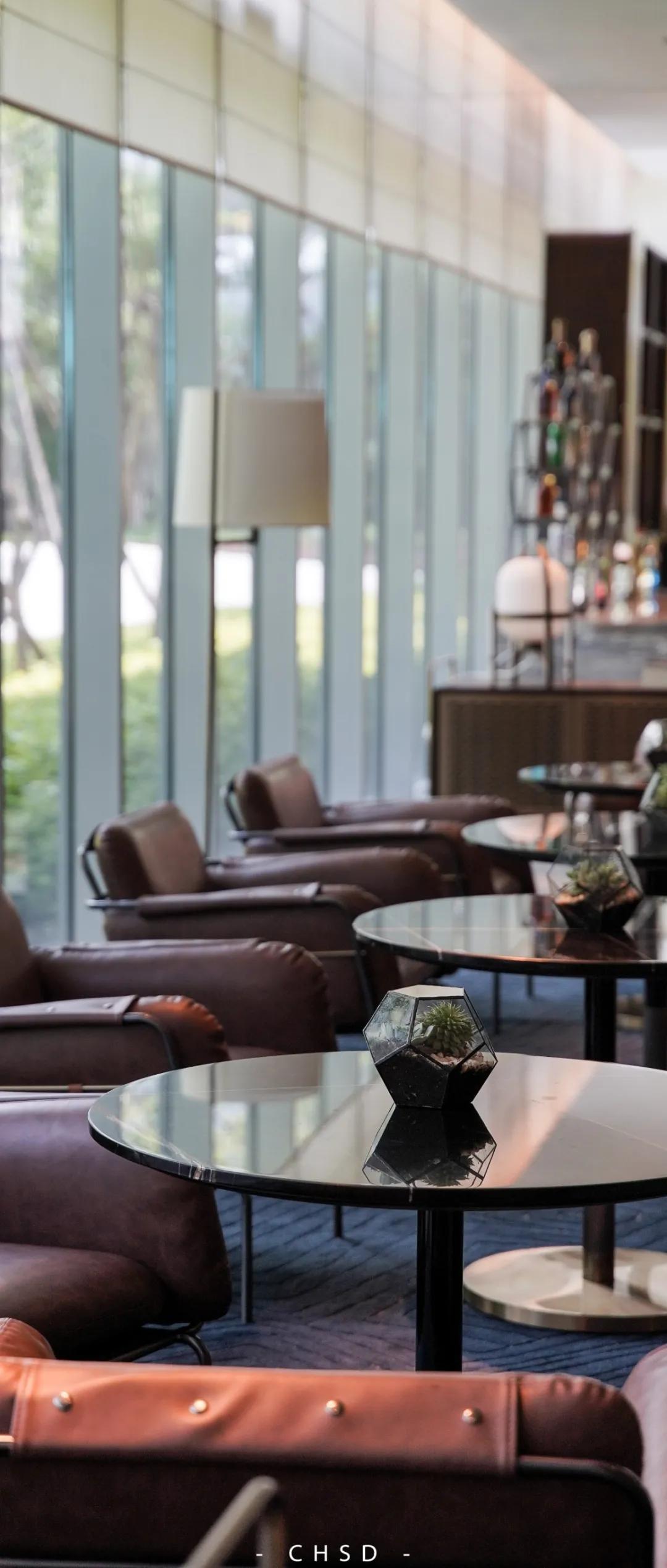 明星都来打卡的店,众多明星大咖打卡的酒店