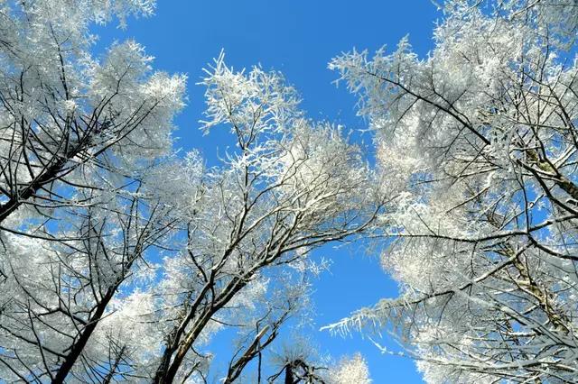 吉林省通化市柳河,吉林通化县柳河