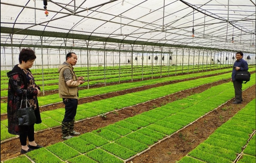 广西农特产品网网友是怎样分析米豆果蔬优质好吃原因的