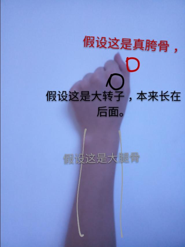 假胯宽臀部塌陷怎么练,改善假胯宽臀部肌肉的瑜伽