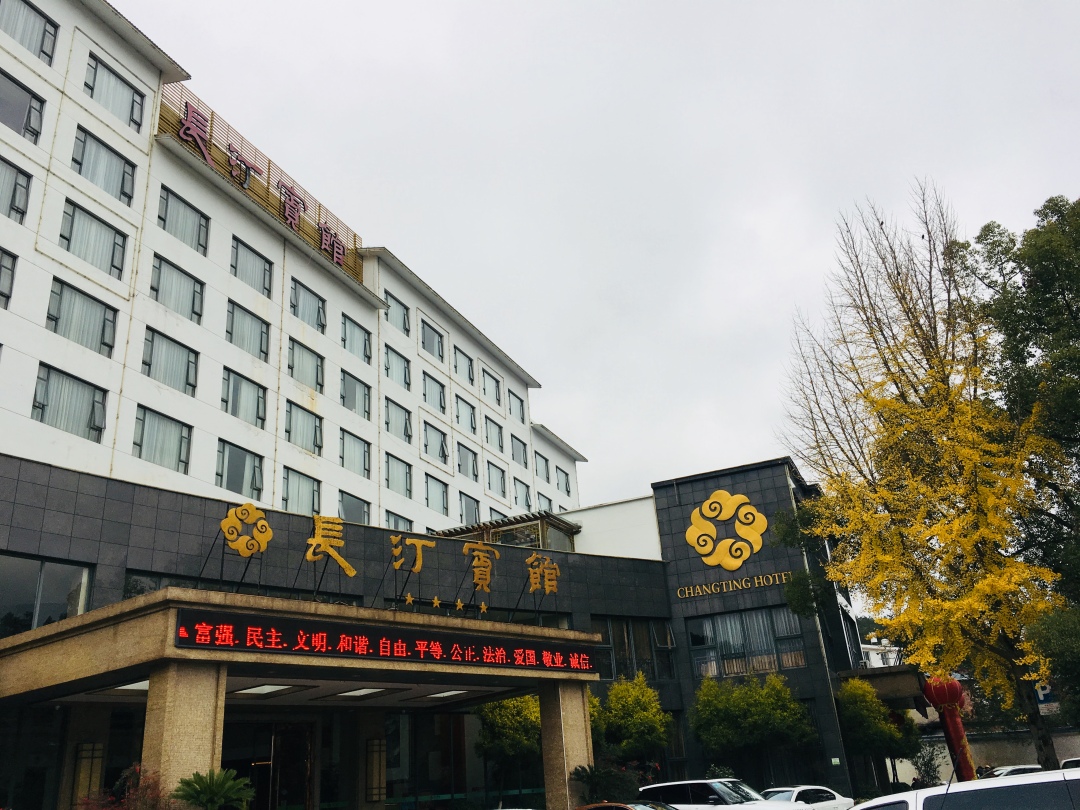 长汀宾馆银杏,长汀宾馆银杏叶
