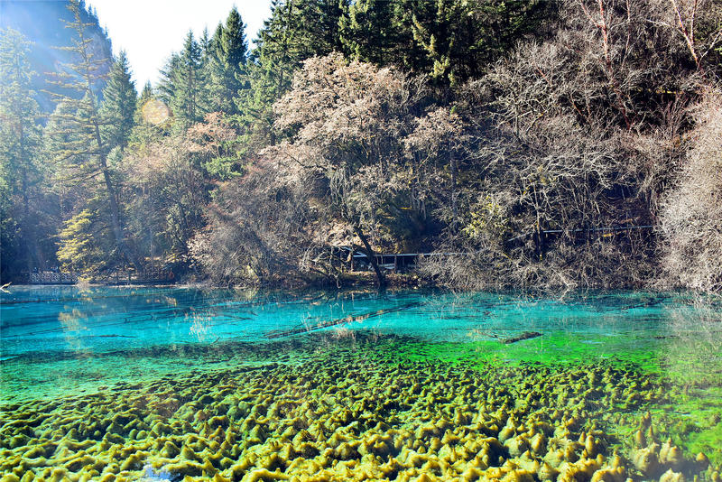 置身于童话中的九寨沟,畅游人间仙境黄龙九寨沟七日游