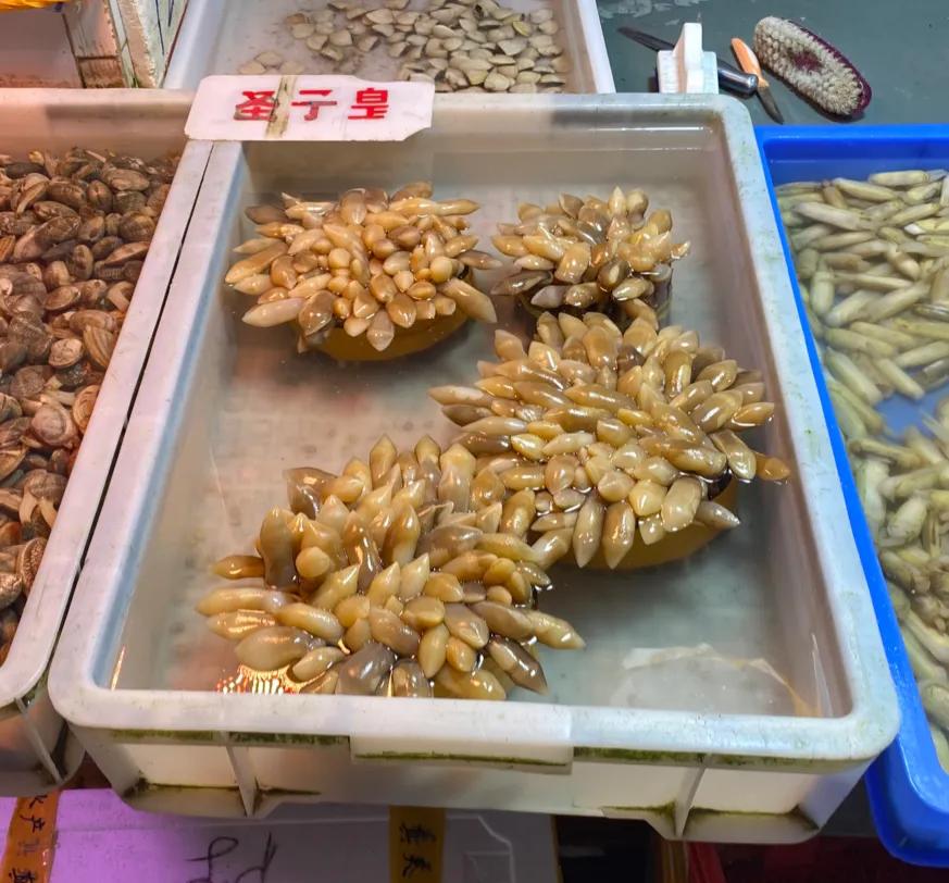 广州顺德五天旅游攻略最新价格,广州顺德5日游自由行攻略