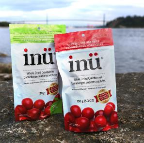 领馆专递｜英国、加拿大、丹麦、芬兰的最新信息