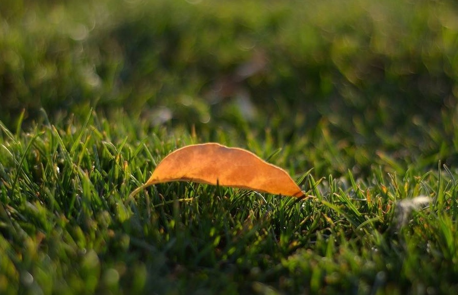 只为求医面临高难手术,为了不手术东奔西跑