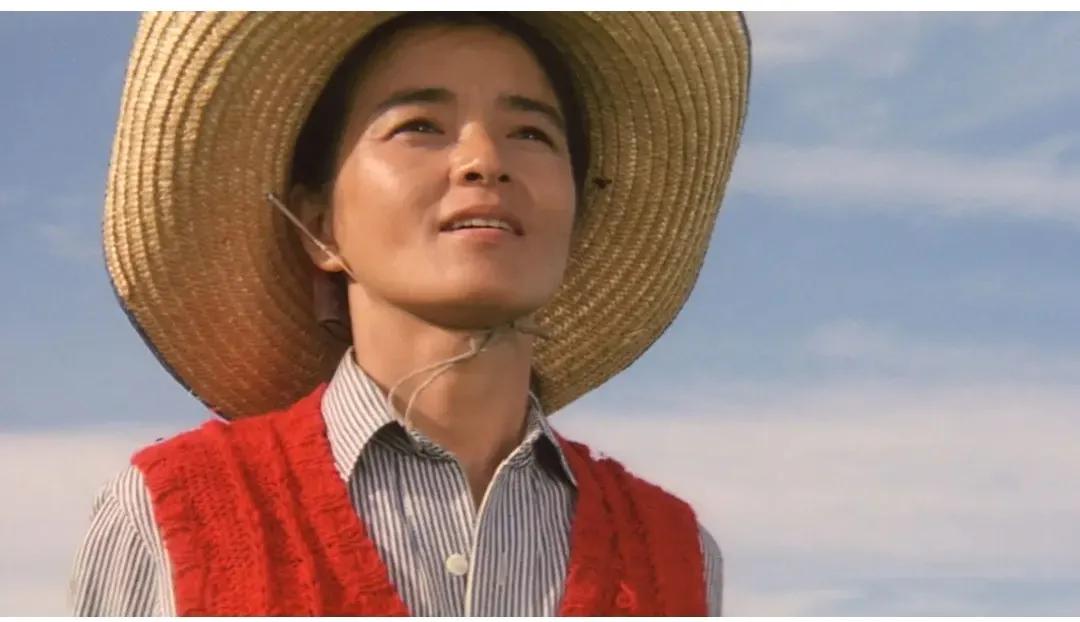 远山的呼唤百科内容,远山的呼唤国语版