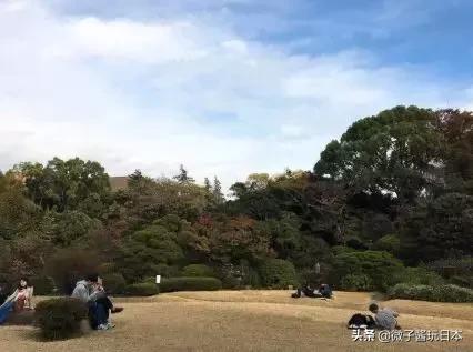 坐火车去早稻田来场复古东京之旅，都电荒川线一日券玩法大攻略