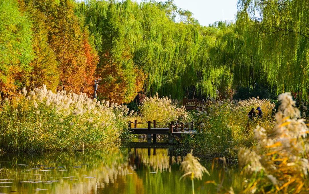 济南赏秋,秋天济南去哪里赏秋最好