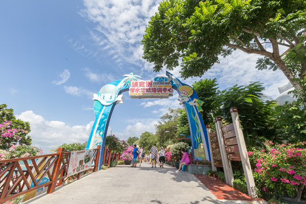 三亚烧钱项目,三亚最费钱的项目