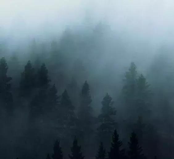 excuseme！这瓶标价65万的超大号香水，真有人买？