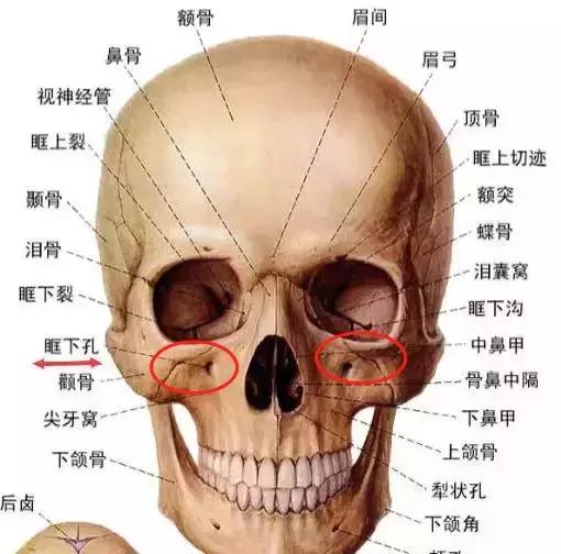 有眼袋太显老祛眼袋这里有妙招,有眼袋显老十岁一招教你消除