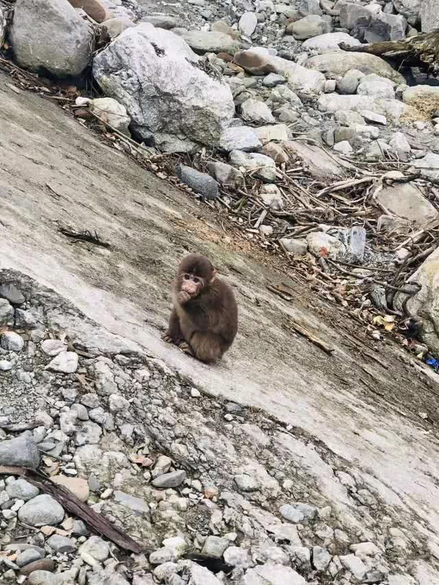 卧龙谷银厂沟,银厂沟两山合拢现状