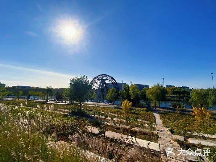 北京可以带宠物好玩的地方,北京宠物公园