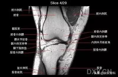膝关节痛不治会怎样,膝不舒服怎么调理图解