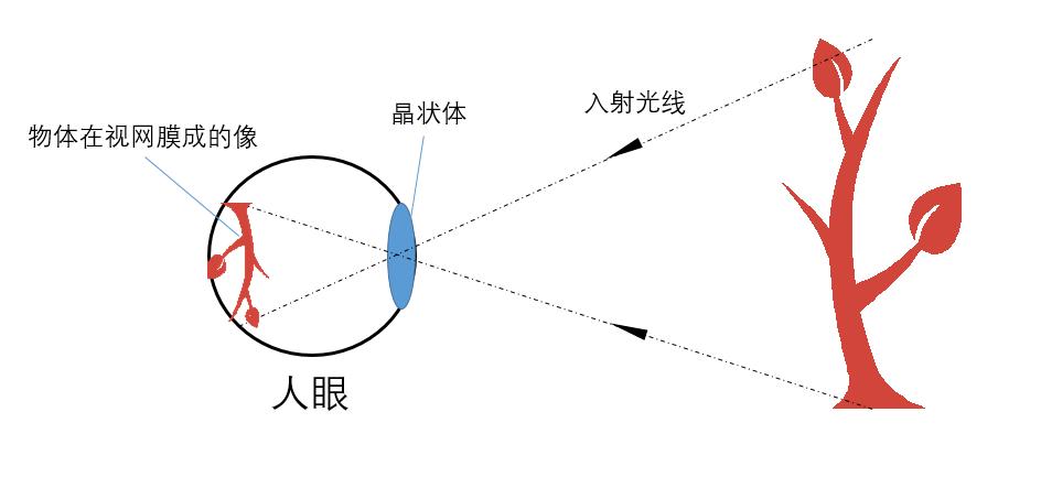 解析如何提高3d电影放映质量,电影院放映3d电影是利用什么原理