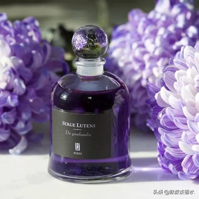 芦丹氏深渊书简鉴定,芦丹氏深渊书简