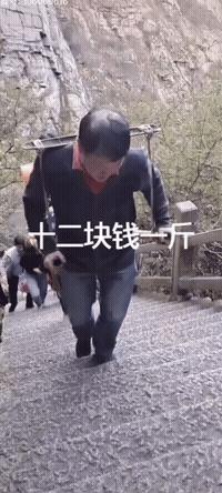 稀奇罕见的狗,很常见的罕见狗