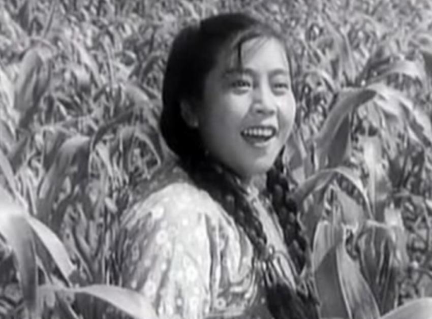 卫生巾是怎么被发明出来的,卫生巾最初的发明目的