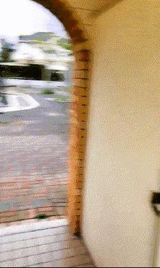 在野外发现甘蔗,在山里发现甘蔗