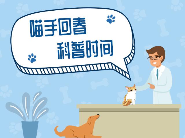 金毛犬摆地摊卖菜,金毛摆摊卖零食