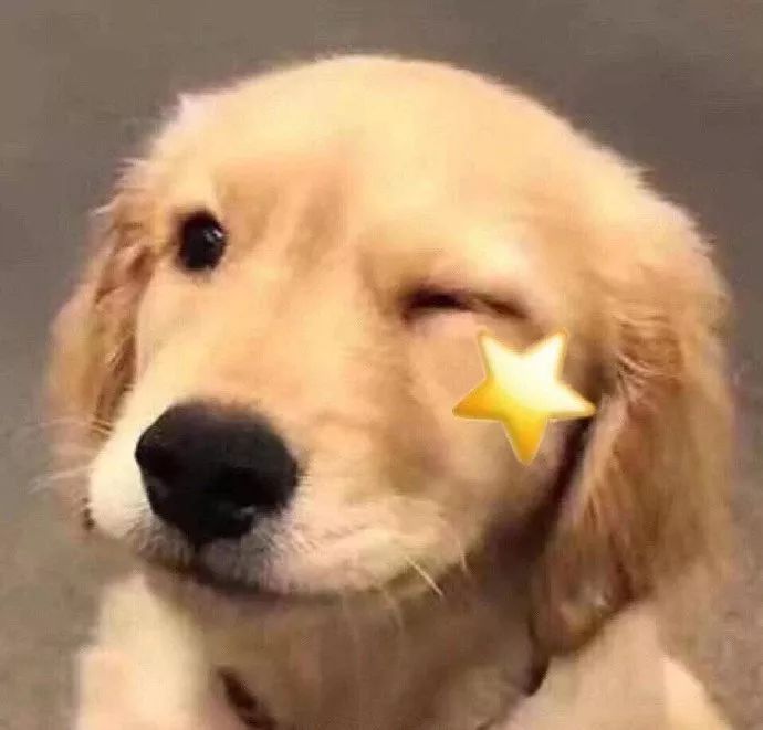 满满回忆杀的礼物,满满的回忆杀背面完整版